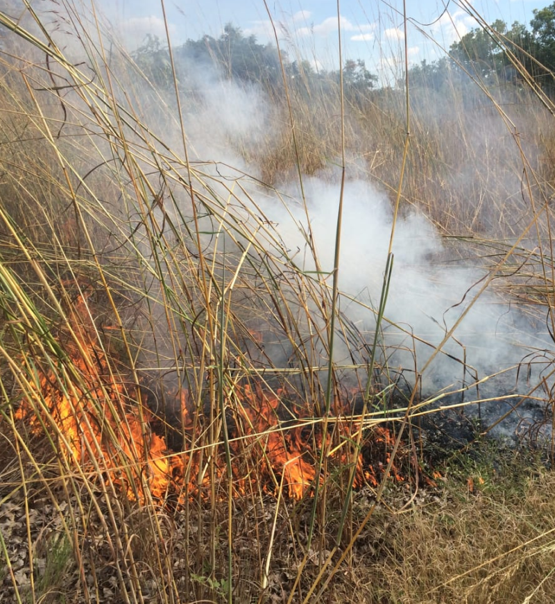 Balanggarra Fire Management Project