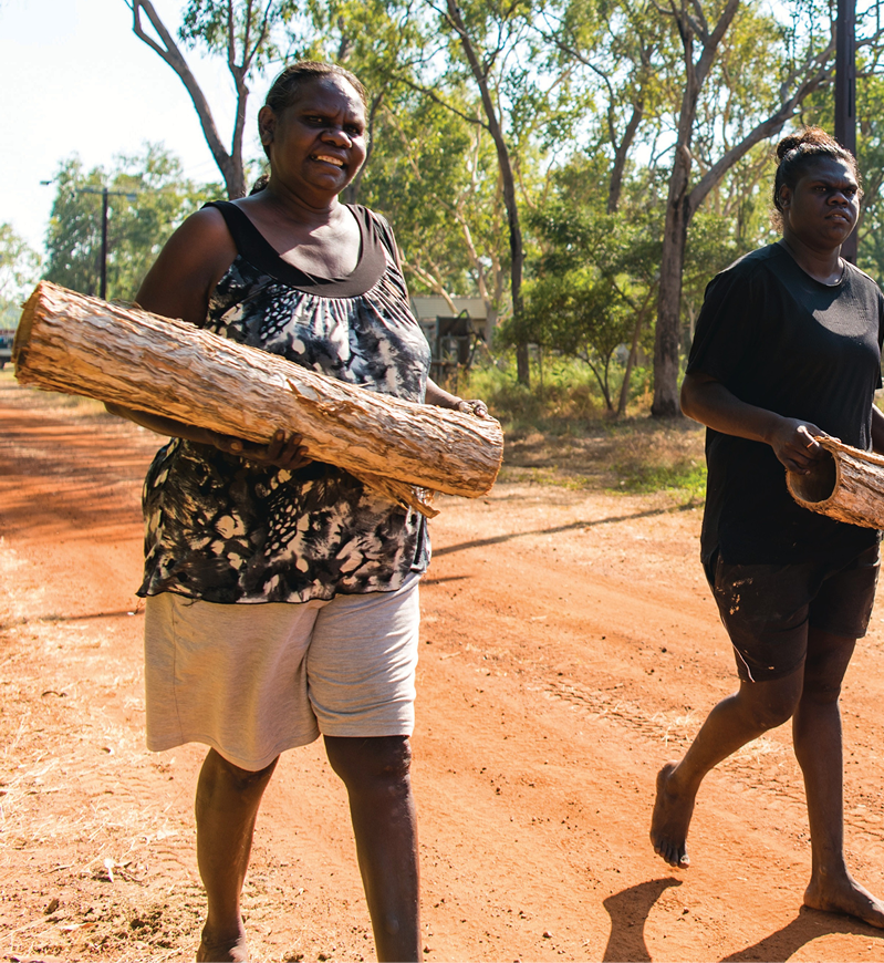 High-Integrity Indigenous Carbon Credits