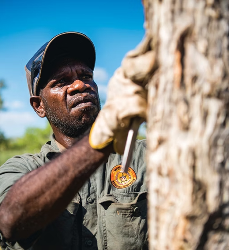 High-Integrity Indigenous Carbon Credits