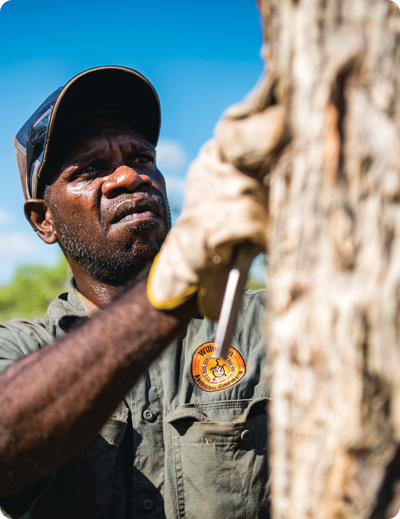 High-Integrity Carbon Credits